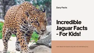 Jaguar Jungle Quest: Unveiling the Big Cat’s Secrets