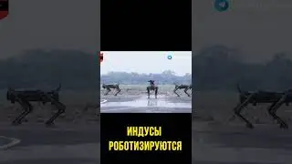 Армия индусов роботизируется