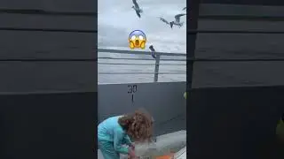 😱Ева попала в стаю птиц! 😂#shorts #смешное #смешно #смешноевидео #рекиютуба #рекомендации