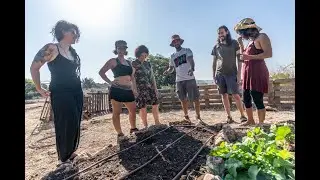 איך מחברים צנרת השקייה