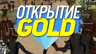 ЗАЛЕТЕЛИ НА ОТКРЫТИЕ DIAMOND RP GOLD (GTA SAMP)