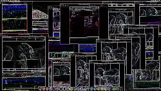 please wait while page loads