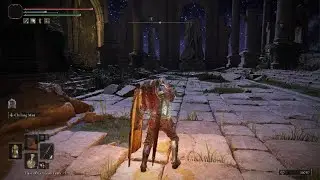 ELDEN RING_mimic tear fight