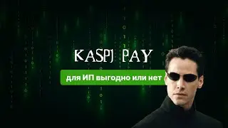 Kaspi Pay для ИП: стоит ли подключать?