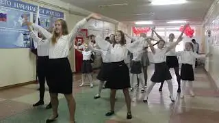 Голубь мира - 2018