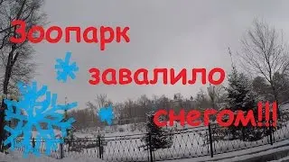 Зимний Зоопарк (03.03.2017)