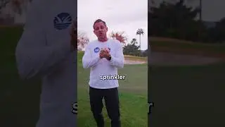 Are You Watering Your Lawn Wrong?