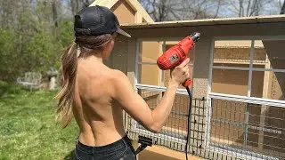 The Problem with Almost Every Chicken Coop and What I Did to Fix It