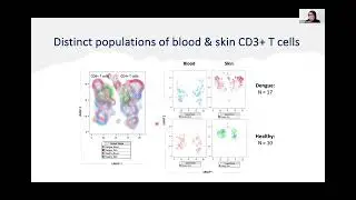 Noor Zayanah Hamis: Role of skin-based T cell immunity in acute dengue infection