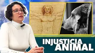 ¿Somos JUSTOS con los ANIMALES?  - Paula Calvo