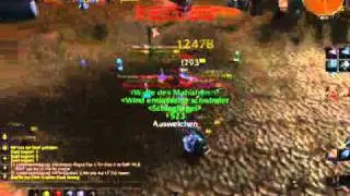 2 Handed Meele Shaman goes enrage. World of Warcraft