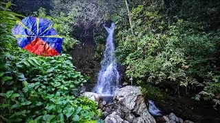 Cascade a la Réunion sainte suzanne