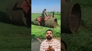 Wheat 🌾 modran Agriculture 👨‍🌾 