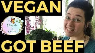 VR to BehatiLife | Vegan Behati Vibe Tribe Got Beef
