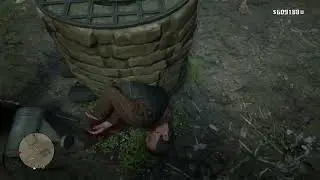 Man Stuck in Well in RDR2