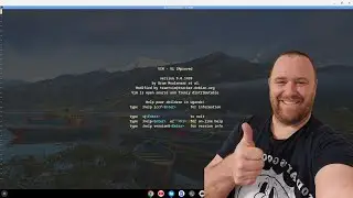 How to Install a Cool Terminal in a Chromebook in 2024