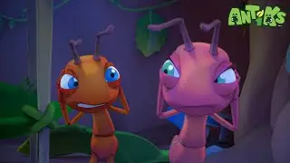 Bad Neighbours | Funny Cartoons For All The Family! | Funny Videos for kids | ANTIKS