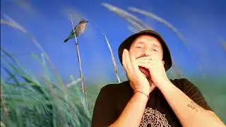 Paul Mauriat - Alouette (Lark), diatonic harmonica C + tabs