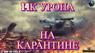 14к урона • На карантине