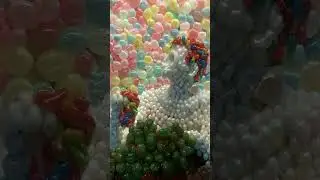 11 травня 2024 р.