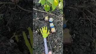 куда подевались миньоны? #avatar #roblox #bobik #minions #hello