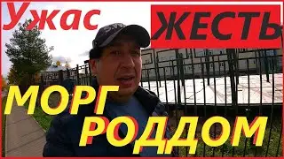 ЖЕСТЬ в ТОТЬМЕ# УЖАСЫ МАЛЕНЬКИХ ГОРОДОВ#