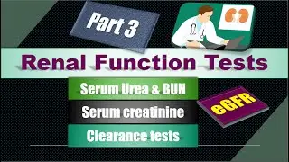Renal function tests I Part 3 I Blood tests