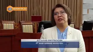 Депутат Алтынай Омурбекова о приходе на пост вице-премьер-министра.