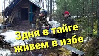 ЖИЗНЬ В ТАЙГЕ/ В ИЗБУ НА 3 ДНЯ 