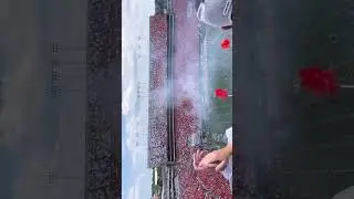 good game to all the Auburn fans,who don’t fully suck🤍🧡