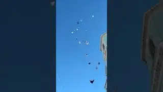 Николаевские торцовые голуби +380504722500