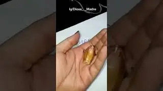 ❤️SPELL TO REMOVE ANGER FROM YOUR LOVED ONE😱 