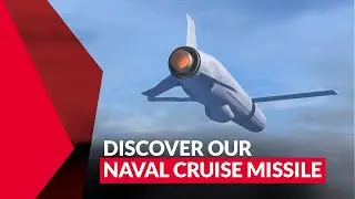 NCM (Naval Cruise Missile)
