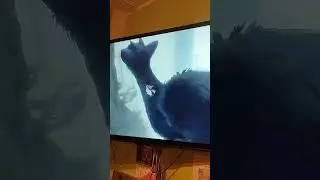 Прыжки Трико(The Last Guardian)....