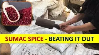 SUMAC Spice, the Rustic Way   - سماق ام علي, الطريقة الريفية