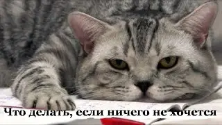 Что делать, если ничего не хочется.