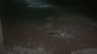 suasana malam di pedesaan