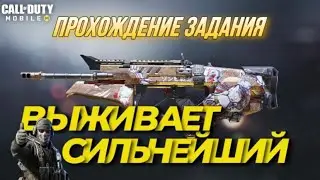 ОБЛАСТЬ С ЛУЧШИМИ ТРОФЕЯМИ В CALL OF DUTY MOBILE, КАК ПОЛУЧИТЬ ПЕРСОНАЛЬНОЕ ОРУЖИЕ, СЕЗОННЫЕ ЗАДАНИЯ