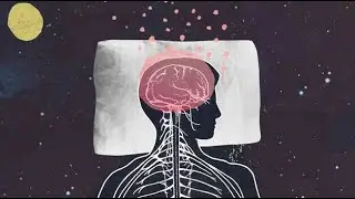 La melatonina: Ventajas y desventajas de la hormona que regula nuestro sueño | Salud