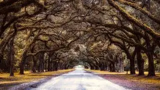 Spanish Guitar Meditation Relaxing Music Deep Sleep, Inner Peace