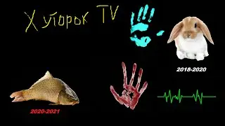 История жизни 2020 - 2023