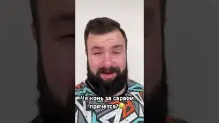 Че конь за сараем прячется?😂 