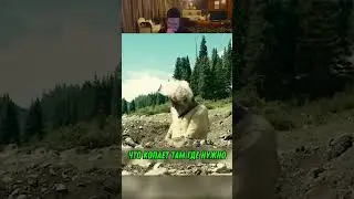 Старик Который Нашел Золотую Жилу 😱🔥