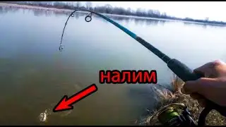 Чудо рыбалка!!!большое разнообразие рыб ранней весной на донки! Открытие сезона 2020
