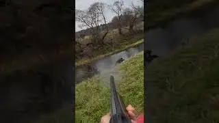 Лютый стрелок