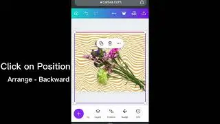 How to add amazing background images in Canva | Trippy Images in Canva