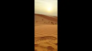 OMAN 7 DAYS