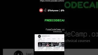 TOP 5 YOUTUBE CHANNEL TO LEARN HTML & CSS  