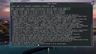 Cómo recuperar tu Ubuntu 24.04 LTS tras una actualizació de kernel que no te convenció
