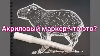 Капибара-скетч акриловым маркером